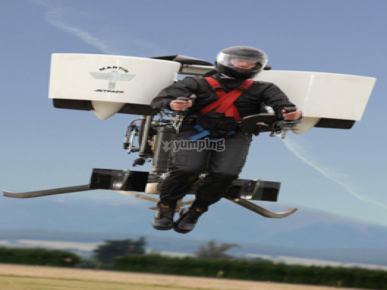 In Flight /tb_In flight.jpg